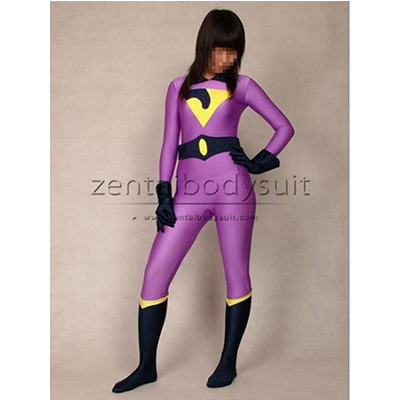 The Wonder Twins Jayna Superhero Costume